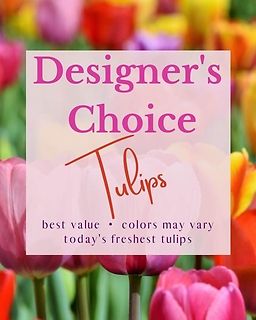 Designer\'s Choice - Tulips