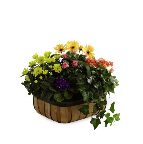 The FTD Gentle Blossoms Basket
